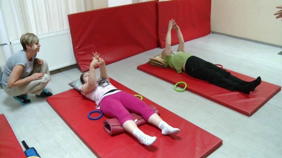 A fejlesztőpedagógiai program és a Pető-módszer vajdasági népszerűsítése