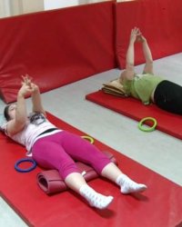 A fejlesztőpedagógiai program és a Pető-módszer vajdasági népszerűsítése